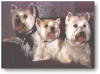 T.S., MacDuff and Duncan