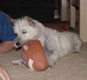 Arie - May 2002