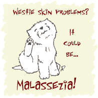 Malassezia